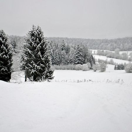 Апартаменты Fewo Radi An Der Buchberger Leite Hohenau Экстерьер фото